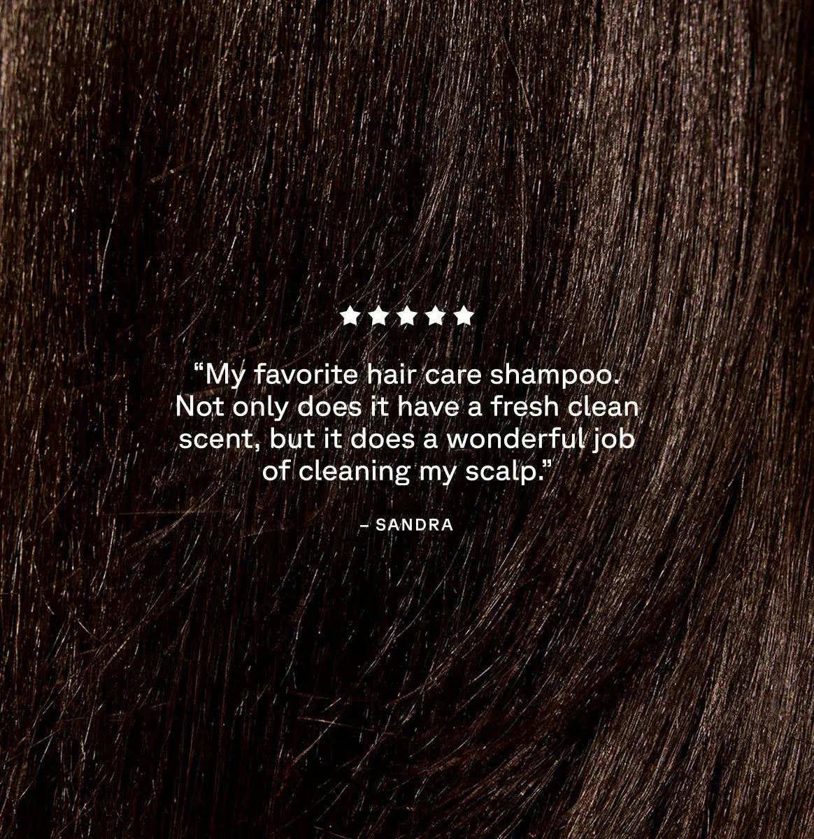 ACURE Curiously Clarifying Shampoo and Conditioner Set ACURE