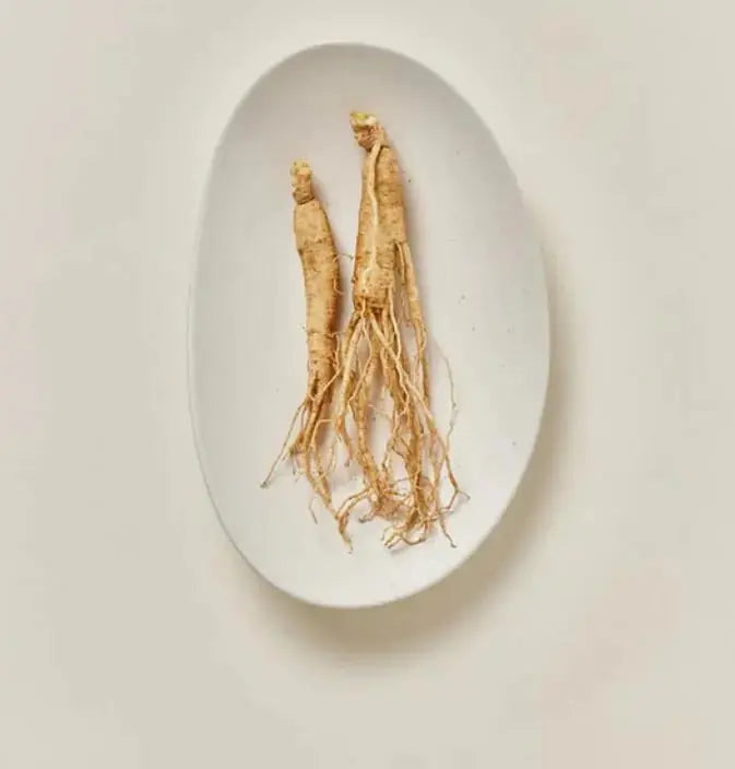 Beauty of Joseon Ginseng Moist Sun Serum 50ml in clear bottle, showing the light-colored serum and minimalist packaging.